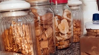 Pousada Raízes do Porto