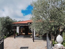 Il Tulipano