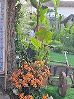 paradis colibri