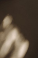 Zenstay Hotel Zaandam