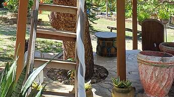 Sitio Pedagógico Vale da Serra