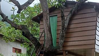 Sitio Pedagógico Vale da Serra