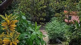 Sitio Pedagógico Vale da Serra