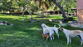 Sitio Pedagógico Vale da Serra