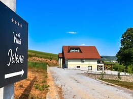 Plivanje u Zalazak Sunca