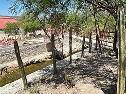 Restaurante y Cabañas Cané