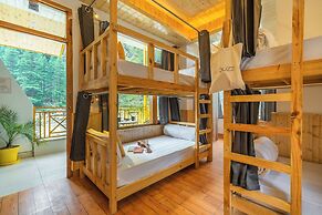 The Social Stays Kasol