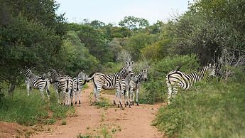 Sable Ranch Thaba Khaya