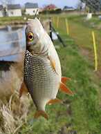 Comfortable Holiday Home, Sauna, Fishing Pond