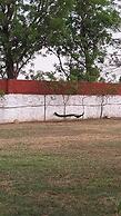 Alampat Nest