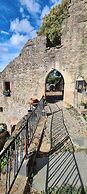 Burg Hermannstein - Rittersaal