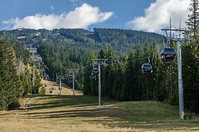Powder Peak at the Aspens
