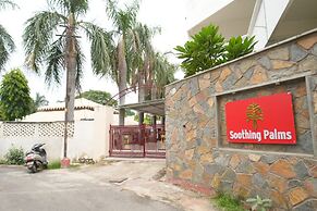 Soothing Palms