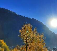 Hotel Surya International - Manali