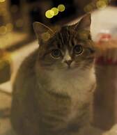 Snow Valley Breeze Inn