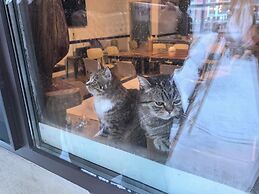 Snow Valley Breeze Inn