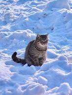 Snow Valley Breeze Inn