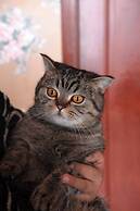 Snow Valley Breeze Inn