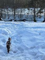 Riverfront Cottageee