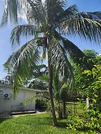 Ideal Executive Suites