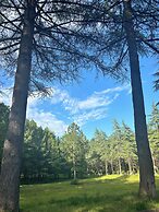 Green Hotel Tskaltubo