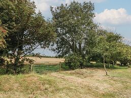 Tir Mawr