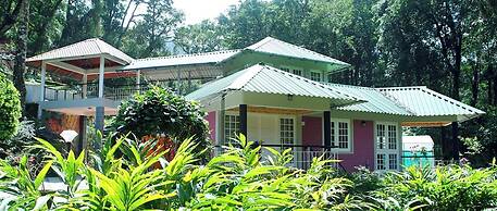 Rain Forest Resort - Munnar