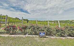 Vineyard Haus
