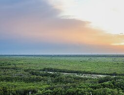 Distrito Puerto - Ocean & Mangrove Views