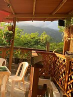 Selva Maria Tayrona