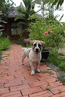 The little garden homestay