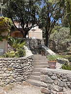 Clos des Cassis