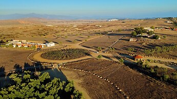 Ariché en Valle de Guadalupe