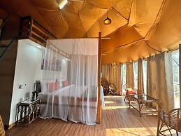 Nestonature Glamping Dharamshala