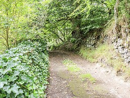 The Vista