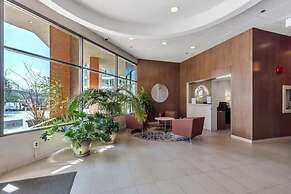 Convenient Downtown Flat