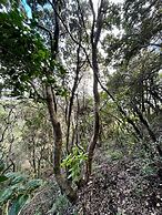 Casa Quebrada - Olas de Buchupureo