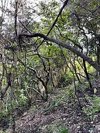 Casa Quebrada - Olas de Buchupureo