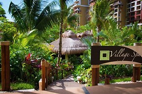 Villa Del Palmar