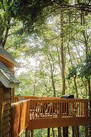 Cheerful Two Bdrm Cabin With Hot Tub & Pet Friendly
