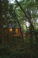 Cheerful Two Bdrm Cabin With Hot Tub & Pet Friendly