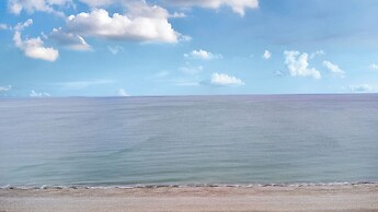 The Causeway