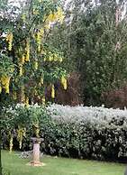 Pierrepoint Wines & Accommodation