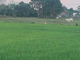 Scarlett Near Mount Zion