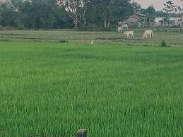 Scarlett Near Mount Zion