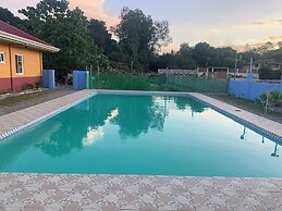 Scarlett Near Mount Zion