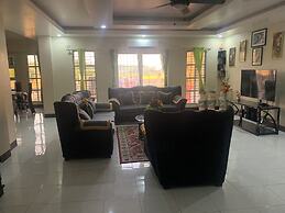 Scarlett Near Mount Zion