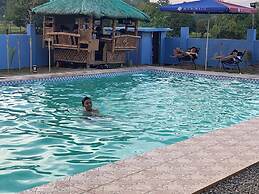 Scarlett Near Mount Zion