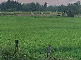 Scarlett Near Mount Zion