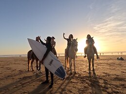 Palm surf&spa hotel